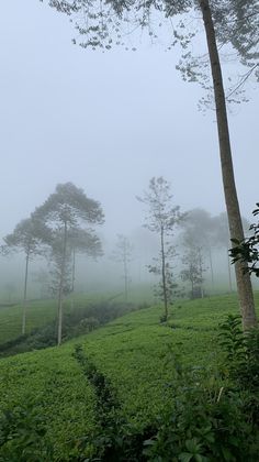 ज़िंदा है हम .......................