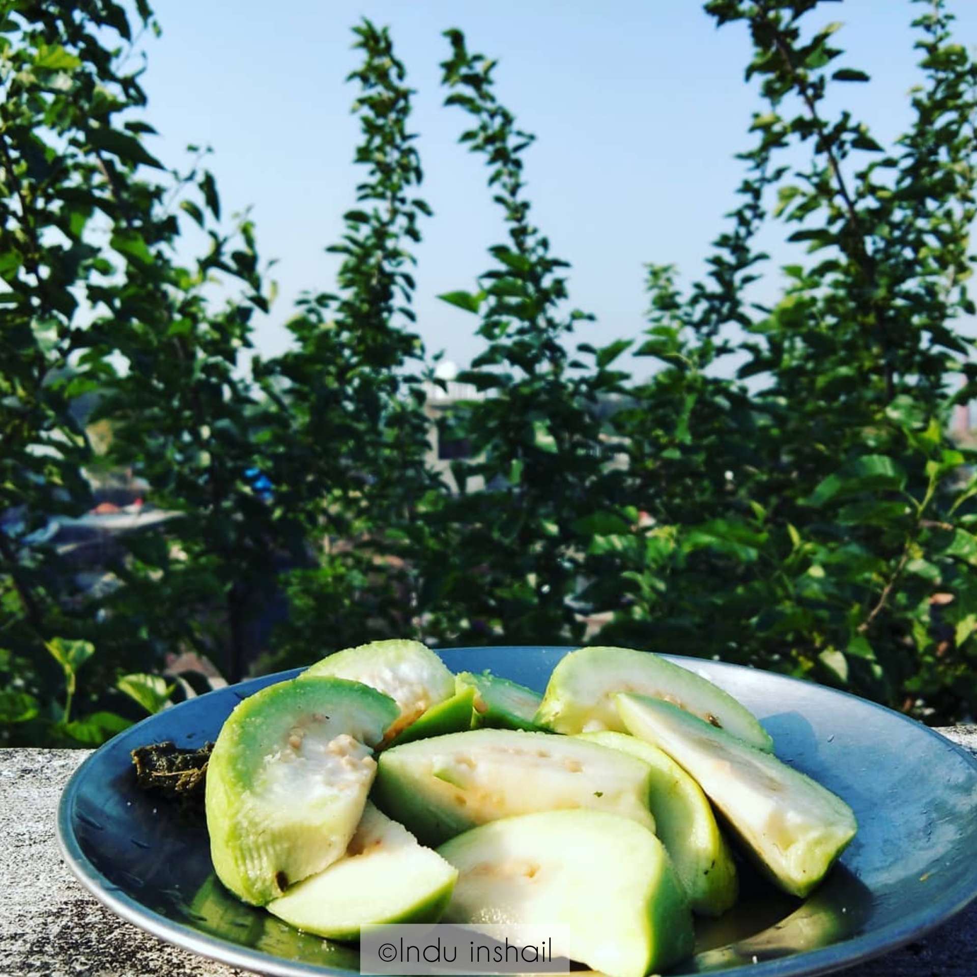 वह फरवरी की सुबह