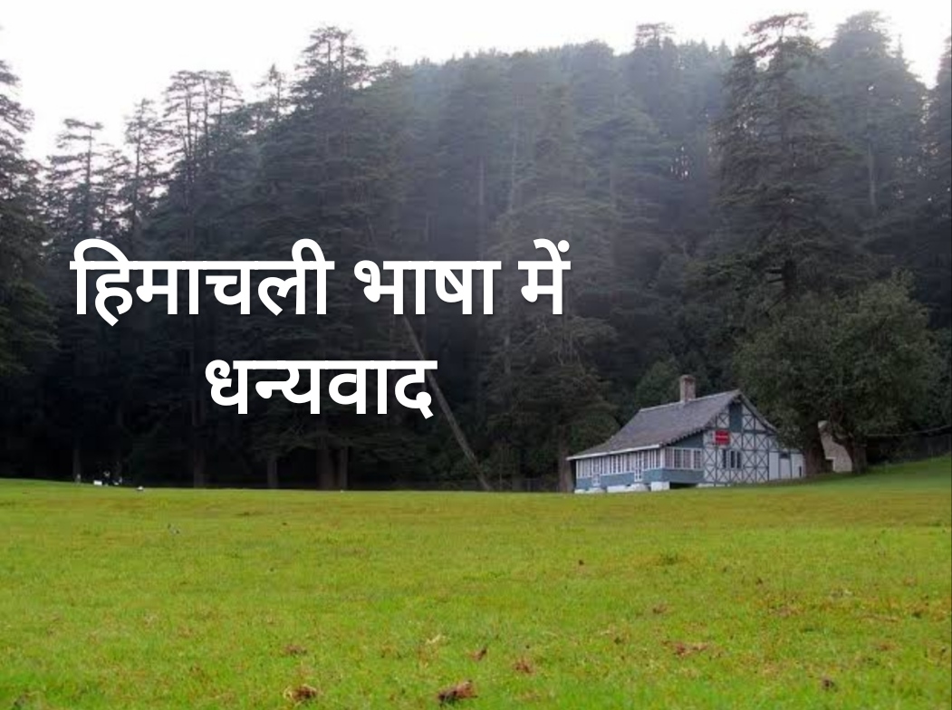 हिमाचली/काँगड़ी में धन्यवाद