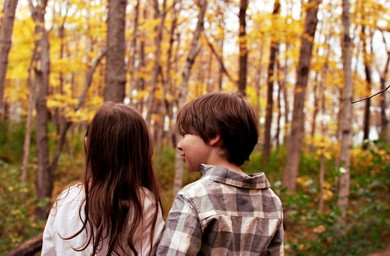 Love in the Woods: A Tale of Adventure and Romance