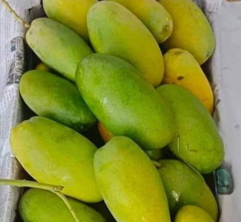 "आम तमाम"