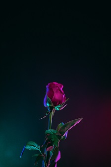 ಆ... ಇರುಳ ಏಕಾಂತದಲಿ