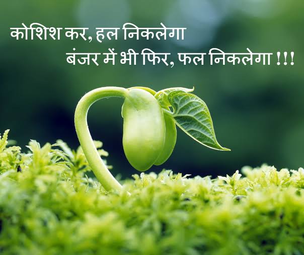 कोशिश