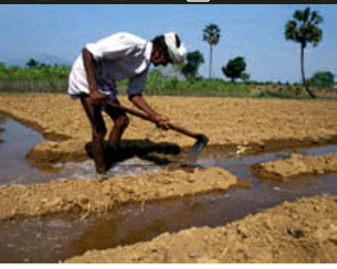 बुजुर्ग की देखभाल का दायित्व एक जरूरत है